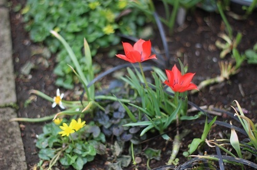 IMG_2765.JPG