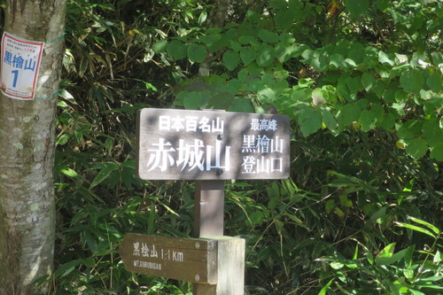 IMG_5403.JPG